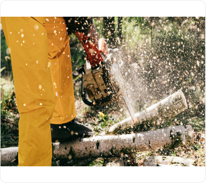 Data-Driven Insights for Better Student Performance